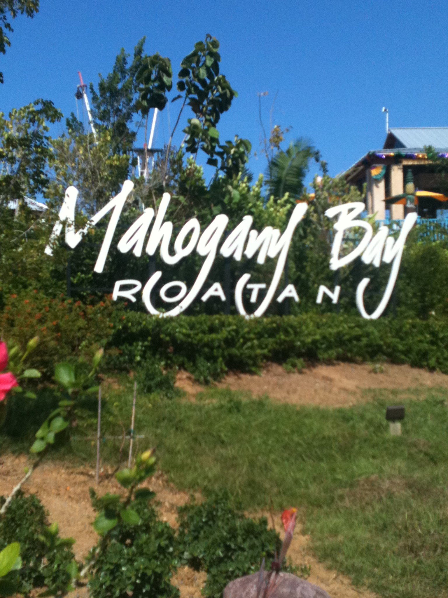 242200_10150291677863082_4609966_o